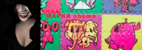 прущие грибы Абинск