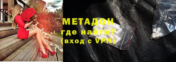 прущие грибы Абинск