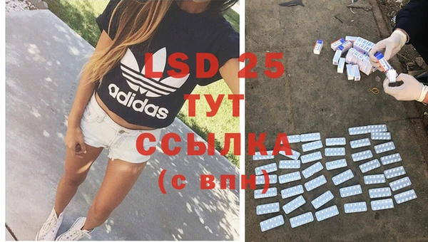 прущие грибы Абинск