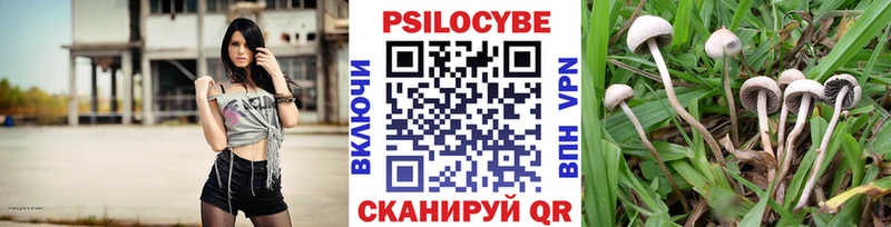 Галлюциногенные грибы Cubensis  сколько стоит  МЕГА вход  Миллерово 