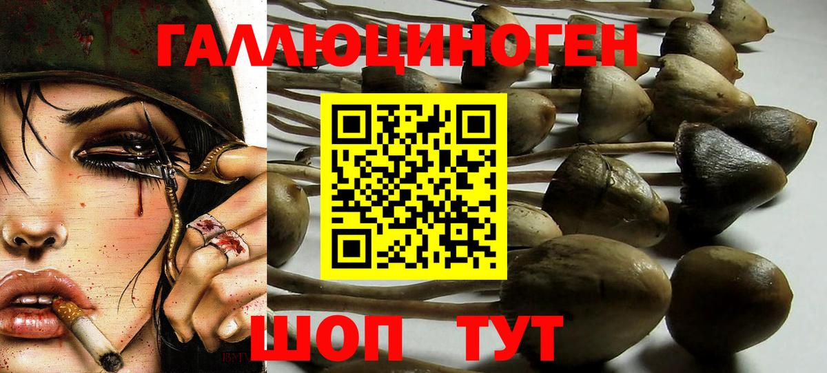 Галлюциногенные грибы Psilocybe  Вход с VPN  Миллерово 